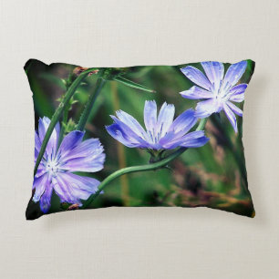 Blue Wild Chicory Flower Trio Accent Kussen