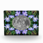 Blue Wild Chicory Flowers Lijst Voeg toe Fotoblokken (Voorkant)