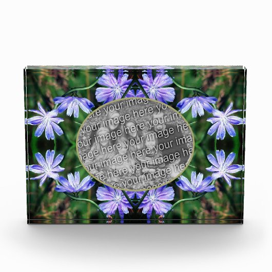 Blue Wild Chicory Flowers Lijst Voeg toe Fotoblokken (Voorkant)