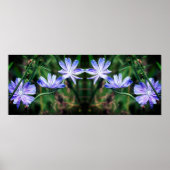 Blue Wild Chicory Flowers Spiegel Abstract Poster (Voorkant)