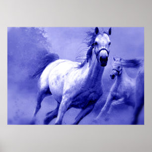 Blue Wild Horses Motivatie Artwork Poster