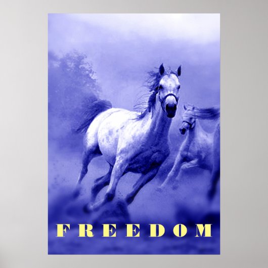 Blue Wild Horses Motivatie Freedom Artwork Poster (Voorkant)