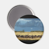 Blue Wildebeest (GNU) Masai Mara Kenia magneten (Voorkant / Achterkant)