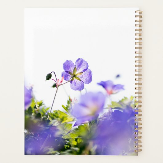 Blue Wildflower Dreams Planner (Achterkant)