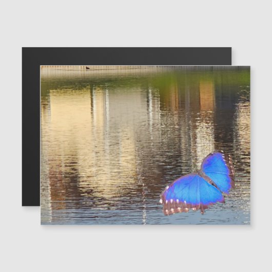 Blue Wing Reflection Magnetische Uitnodiging (Voorkant / Achterkant)
