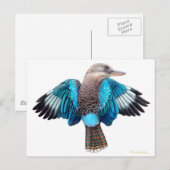 Blue Winged Kookaburra Briefkaart (Voorkant / Achterkant)