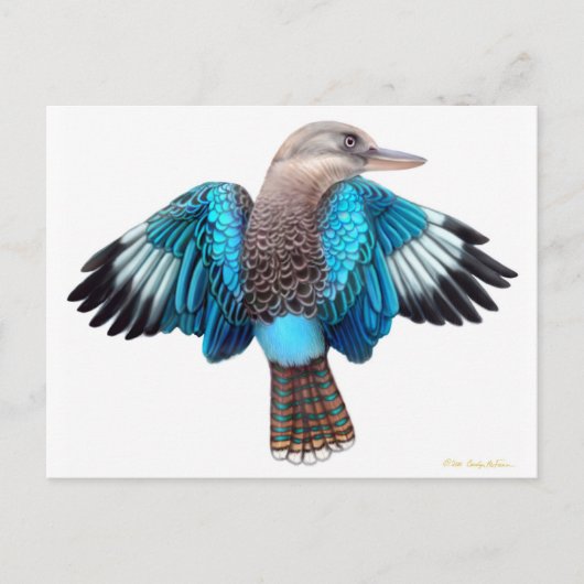 Blue Winged Kookaburra Briefkaart (Voorkant)