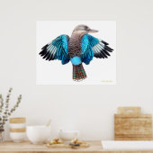 Blue Winged Kookaburra Print (Keuken)