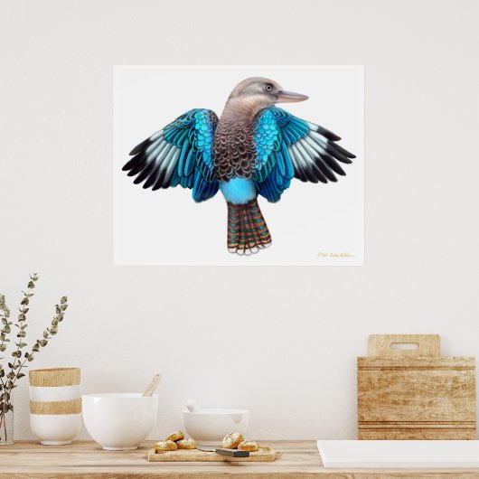 Blue Winged Kookaburra Print (Keuken)