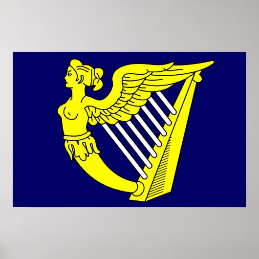 Blue Winged Maiden Harp, vlag Ierland Poster (Voorkant)