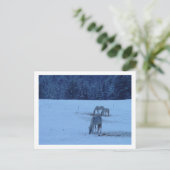 Blue Winter Horses Briefkaart (Staand voorkant)