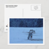 Blue Winter Horses Briefkaart (Voorkant / Achterkant)