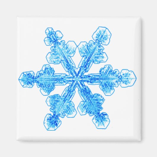 Blue Winter Snowflake Magneet (Voorkant)