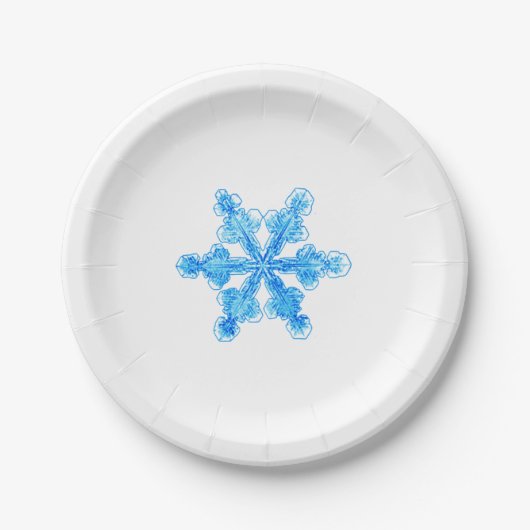 Blue Winter Snowflake Papieren Bordje (Voorkant)