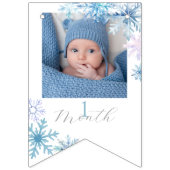 Blue Winter Wonderland photo bunting banner (Tweede vlag)