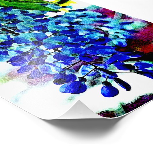 Blue Wisteria Foto Afdruk (Hoek)