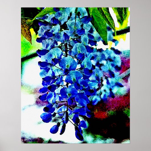 Blue Wisteria Poster (Voorkant)