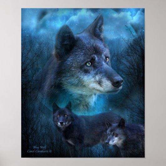 Blue Wolf Art Poster/Print Poster (Voorkant)