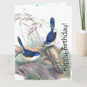 Blue Wren Birds Floral Wildlife Flowers Verjaardag Kaart