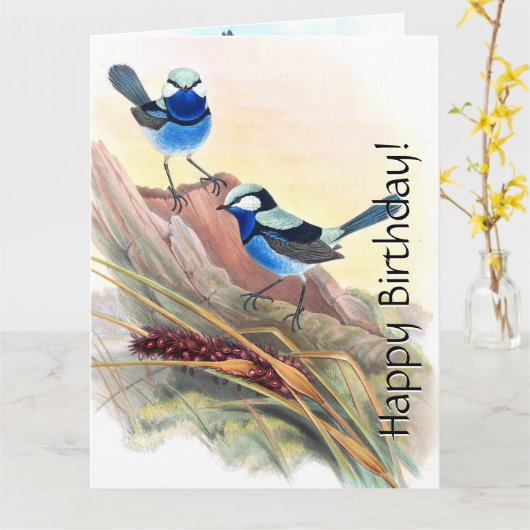 Blue Wren Birds Floral Wildlife Flowers Verjaardag Kaart (Gele Bloem)