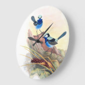 Blue Wren Birds Wildlife Animals Flowers Grote Klok (Hoek)