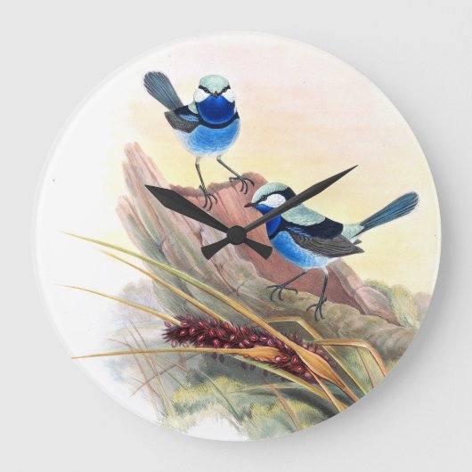 Blue Wren Birds Wildlife Animals Flowers Grote Klok (Voorkant)
