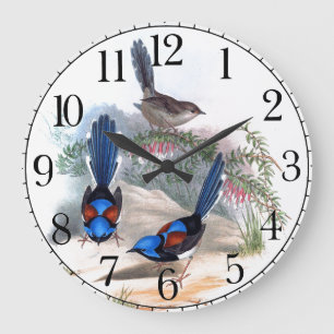 Blue Wren Birds Willife Animals Wall Clock Grote Klok