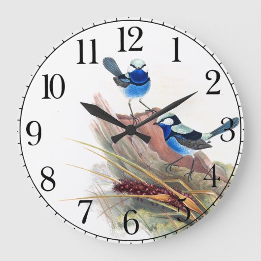 Blue Wren Birds Willife Animals Wall Clock Grote Klok (Voorkant)