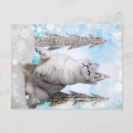 Blue XMAS 2018 Feestdagenkaart