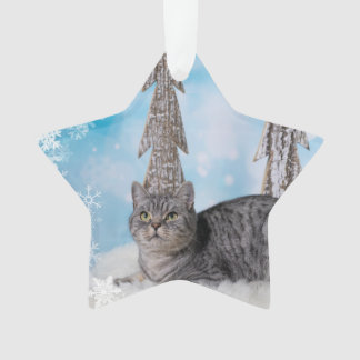 Blue XMAS 2018 Ornament