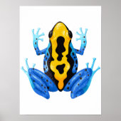 Blue Yellow Frog Digital Print | Frog Wall Print (Voorkant)