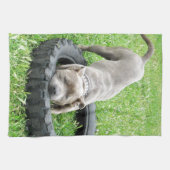 Blue Young Staffordshire Bull Terrier Theedoek (Horizontaal)