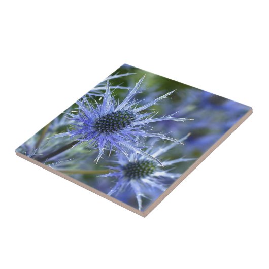 Blue Zee Holly Thistle Tegeltje (Zijkant)