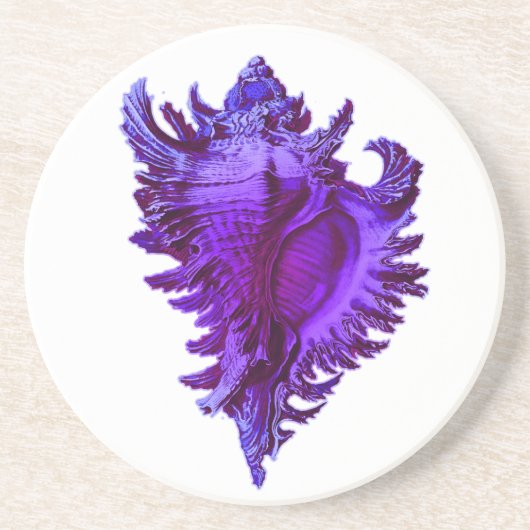 Blue Zee Shell Stone Onderzetter (Voorkant)