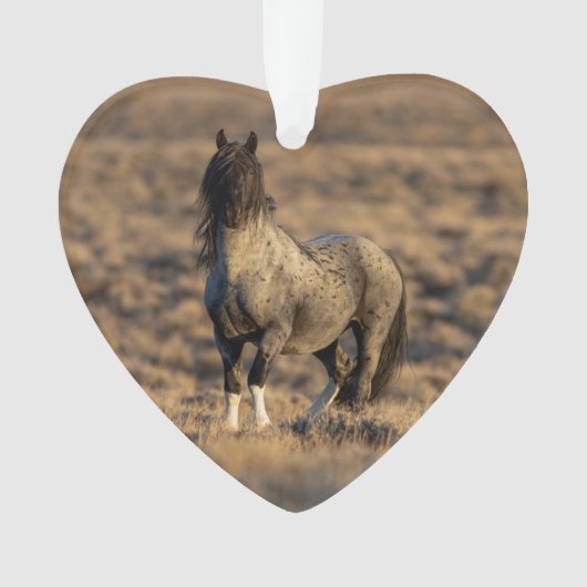 Blue Zeus bij Dawn Wild Hoofbeats Ornament (voorkant)