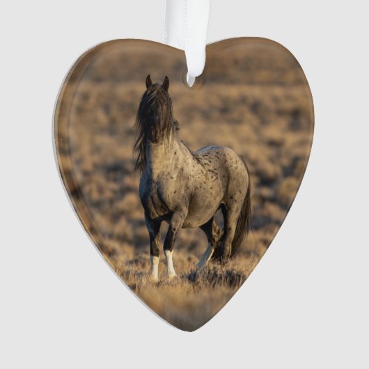 Blue Zeus bij Dawn Wild Hoofbeats Ornament (voorkant)