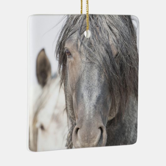 Blue Zeus en Iris Wild Hoofbeats Ornament (Rechts)