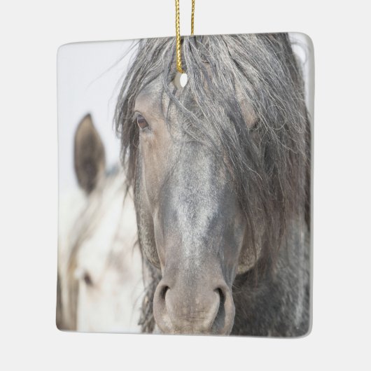 Blue Zeus en Iris Wild Hoofbeats Ornament (Links)