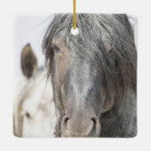 Blue Zeus en Iris Wild Hoofbeats Ornament (Achterkant)