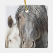 Blue Zeus en Iris Wild Hoofbeats Ornament (Voorkant)