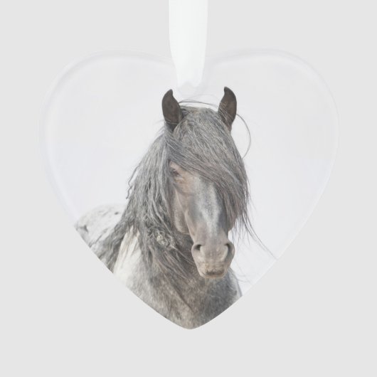 Blue Zeus Heart Wild Hoofbeats Ornament (voorkant)
