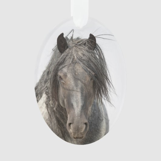 Blue Zeus Kom Wild Hoofbeats Ornament (voorkant)