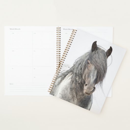 Blue Zeus Planner (Display)