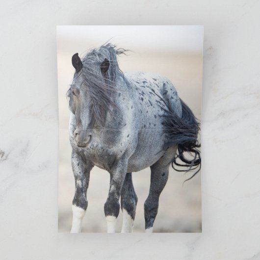Blue Zeus Wild Greeting Card (Binnen)