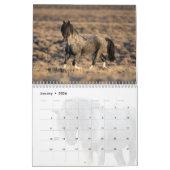 Blue Zeus Wild Horse Calendar Kalender (Jan 2026)