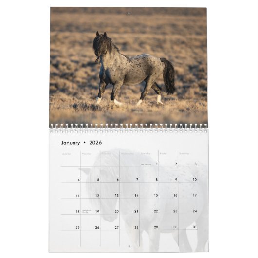 Blue Zeus Wild Horse Calendar Kalender (Jan 2026)