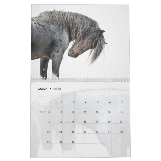 Blue Zeus Wild Horse Calendar Kalender (Mar 2026)