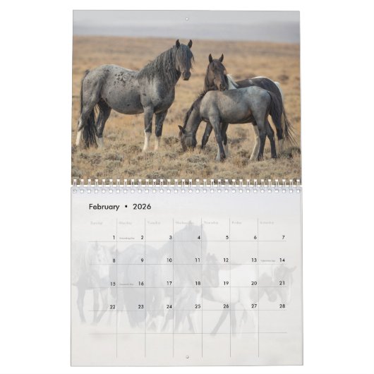 Blue Zeus Wild Horse Calendar Kalender (Feb 2026)