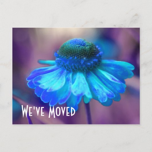 Blue Zinnia New Address Floral Briefkaart (Voorkant)