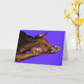 bluebaron kaart (Gele Bloem)